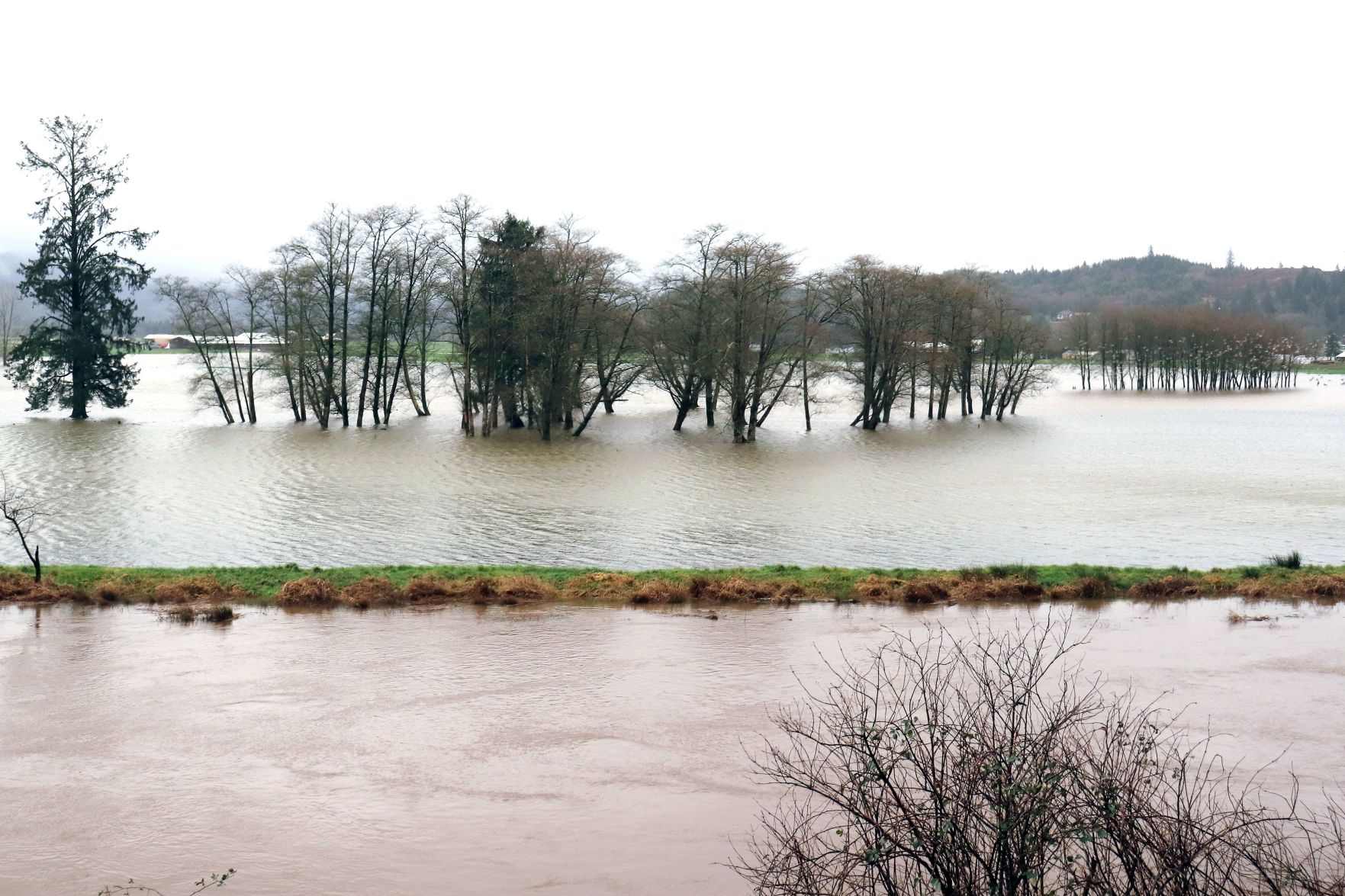Tillamook River Road flooding.tif